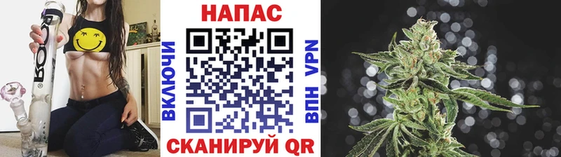 Купить наркотики сайты Елизово ЭКСТАЗИ  А ПВП  МЕТАМФЕТАМИН  ГАШ  Марихуана 