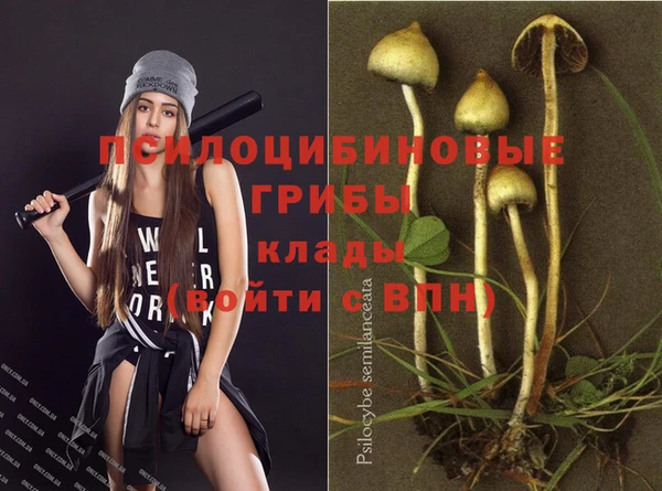 бошки Аксай