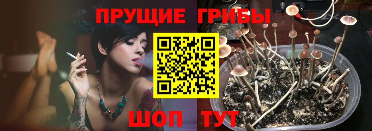Псилоцибиновые грибы прущие грибы  Елизово 